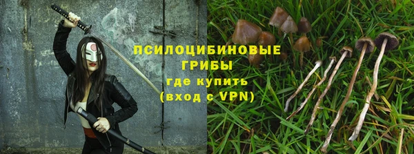 синтетический гашиш Козельск