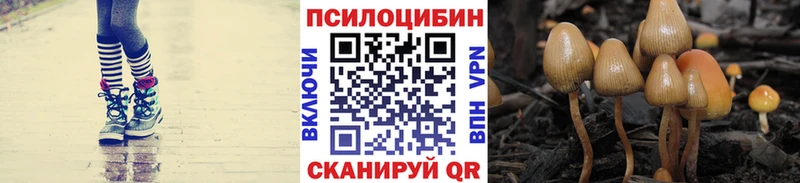 где продают наркотики  Арзамас  Псилоцибиновые грибы GOLDEN TEACHER 